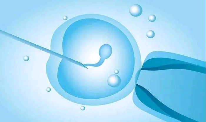 济南助孕包成功价格|试管婴儿预防胎停需要注意哪些?