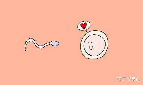 哪些不孕不育患者更适合做供精试管婴儿？