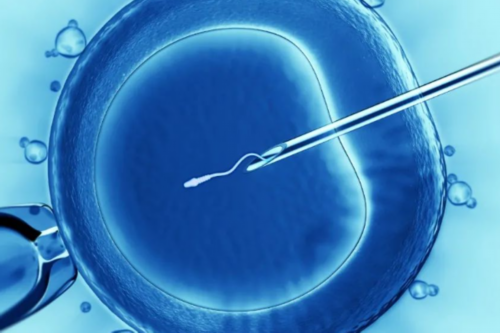 怀孕初期能吃巧克力吗