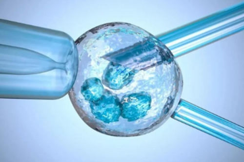 南昌借腹生子怎么样,东营供卵代怀的注意事项（供卵试管婴儿的注意事项）