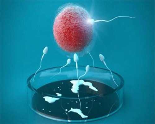 试管婴儿与自然怀孕流产率对比分析-助孕代怀公司