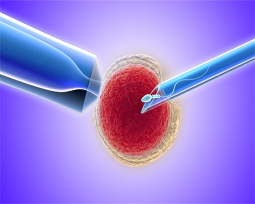 四川第三代试管医院,四川西昌第三代试管婴儿有什么不同之处