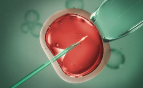 试管助孕费用,河源第三代试管厦门哪里可以做！环境全面解读！