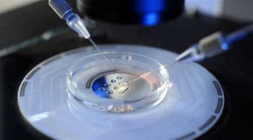 孕六个月胎停症状-供卵不排队