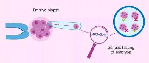 成都供卵正规代怀,成都三代试管婴儿包生男孩价格是多少？费用8.8万够吗？