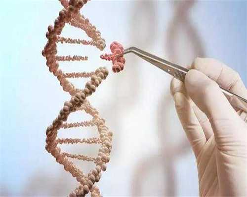 四川代怀生子多少钱,2026四川试管借卵代怀费用多少？附费用明细？