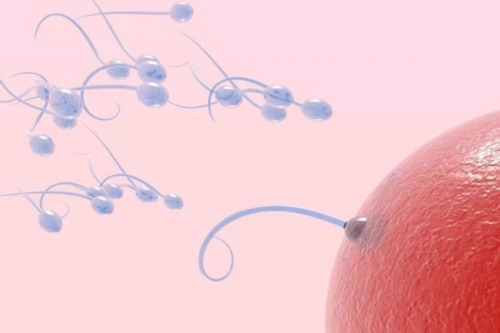 成都代生怀孕机构,试管婴儿费用可以刷医保卡吗？如何降低试管婴儿费用？_试