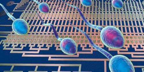 成都试管助孕价格,2026北京美中宜和医院试管婴儿成功率一览，附试管成功率预