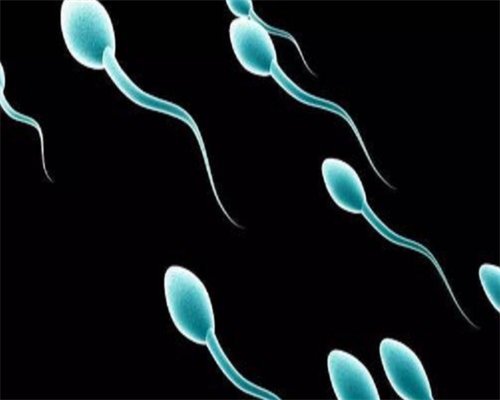 成都专业试管供卵,【成都做供卵试管医院供卵成功率很高吗】剖腹产男宝一枚