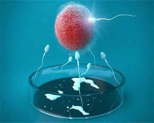 鲫鱼汤能不能放姜(坐月子喝的鲫鱼汤怎么炖)-人工助孕