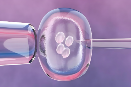 成都供卵正规,成都西囡试管费用不贵，年轻夫妻做试管更容易成功！