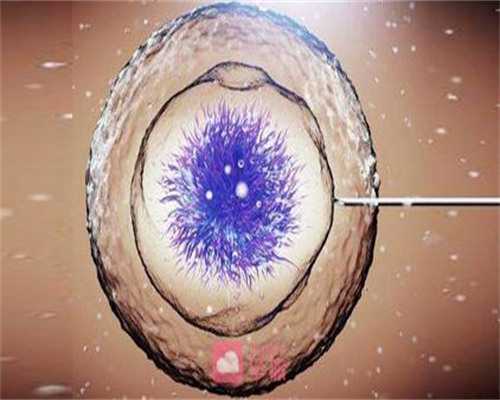 成都助孕代怀生宝宝,北京可做试管婴儿医院排名_成都试管婴儿医院成功率排名