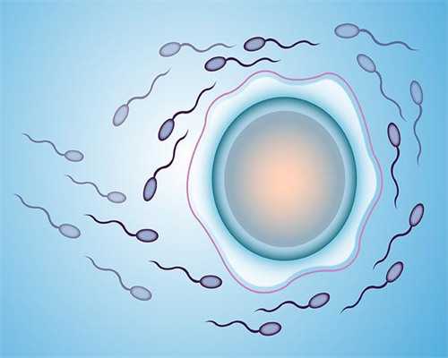 西宁借腹生子市场价格,合肥供卵代怀代生靠谱吗(2026年试管补贴)