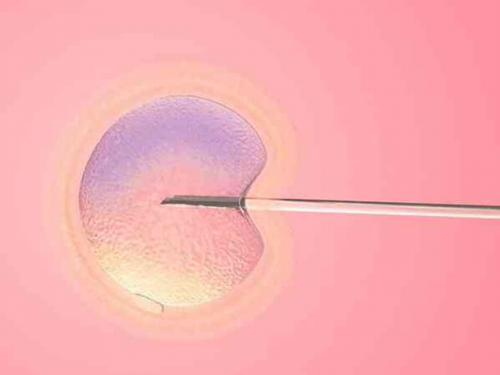 孕早期头痛：误区、饮食关系与调理经验分享_孕期头痛：误区、影响与解决办