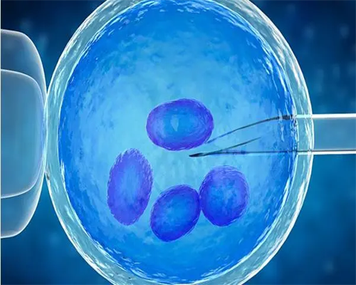 四川找捐卵子试管,四川省哪个医院做试管婴儿成功率高多少钱？