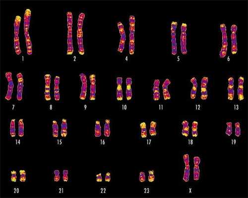 手臂避孕环的危害和副作用