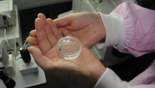 女性泡温泉会怀孕吗 泡个温泉居然会怀孕？-助产机构