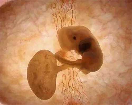 怀孕初期一个月症状_备孕检查有哪些项目,六个秘诀远离不孕不育怪圈