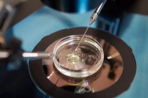 成都借卵成功率,成都借卵生子私立医院哪里