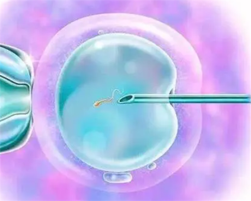 婆媳关系纪琴电视剧大结局