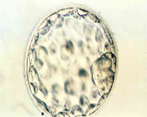 四川助孕生子机构,四川助孕试管助孕机构,附排队时间参考公告