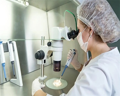 上海借腹生子最少要多少钱,石家庄供卵试管代怀生子医院排名！附供卵机构推