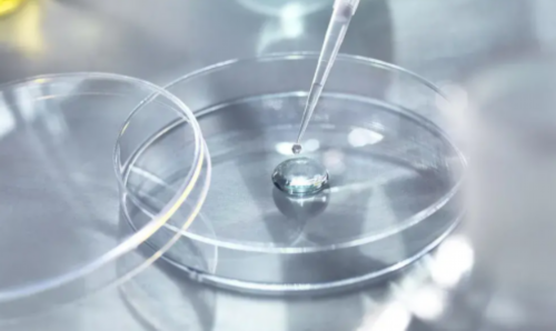 兰州借腹生子有保障吗,海南代怀助孕生子医院排名，附试管费用明细！