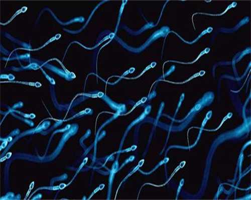 成都供卵生宝宝,成都华西女子医院