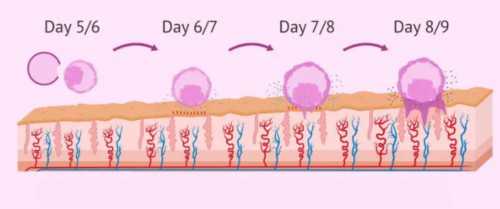 365助孕靠谱吗|2026
日照试管婴儿医院排名,附成功率及费用介绍