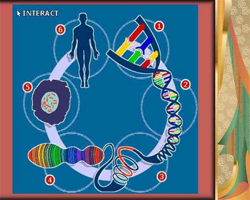 供卵医院双胎试管,得了阴道炎可以做试管吗