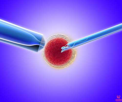 成都找代生医院,【成都有谁做过供卵试管婴儿】6号排，测到好孕，先来分享下