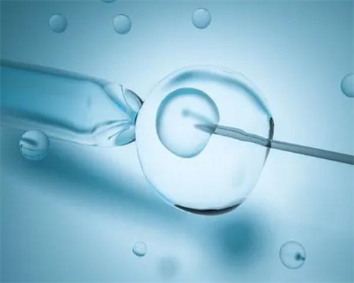 成都哪个供卵,成都华西二试管婴儿