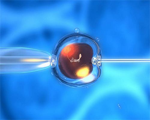 成都代孕双胞胎费用,选择成都做第三代试管还是泰国做第三代好?