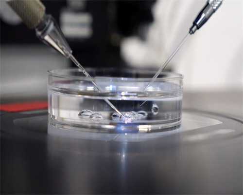 成都最好代孕公司,北京试管成功率最好的医院排名榜_哪个试管医院好，成都哪