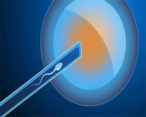 成都三甲医院供卵,试管婴儿有男孩吗_2026
年成都试管婴儿医院排名，哪些医院