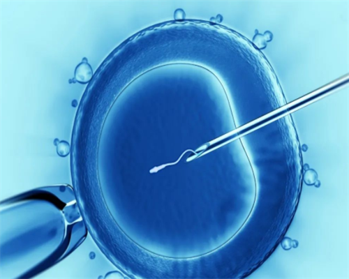 广州借腹生子费用多少,淄博供卵代怀各法化，供卵试管过程是怎么样的