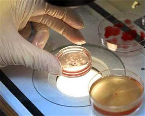 广州借腹生子费用多少,福州供卵代生子-试管代怀生子助孕机构