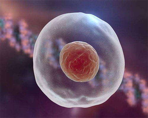 孕期喉咙干燥困扰缓解方法：舒适孕期生活习惯调整与帮助