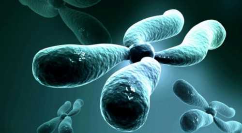 成都助孕包性别中介|南通供卵试管医院排名，2026当地3家助孕机构排名