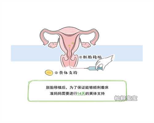 合肥借腹生子费用多少,2026西藏供卵试管代怀包成功机构名单发布-附费用解读
