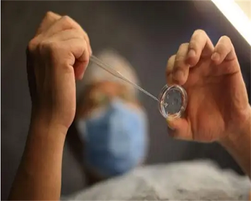 试管移植鲜胚注意事项-供卵代生正规