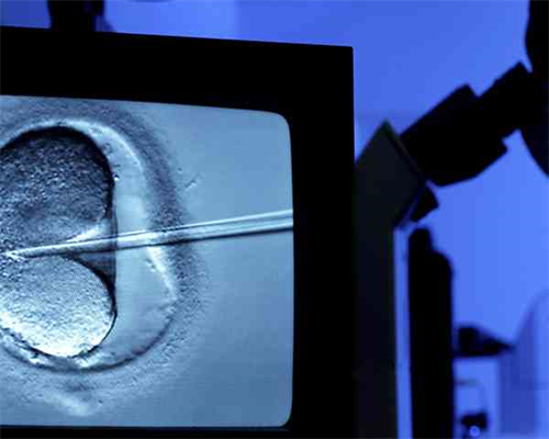 卵泡发育不好怎么办？长卵泡的中药有哪些？-无卵试管生子