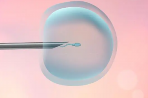 成都代怀价格表,成都第三代试管婴儿代怀生子医院排名，附试管助孕机构名单