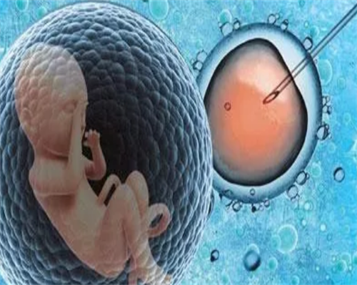 10月份怀孕几月份生产-助孕试管供卵