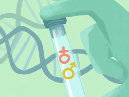 瘢痕子宫试管**及妊娠时机的选择