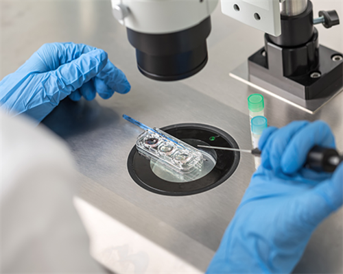 成都借卵包生男孩,成都西囡妇科医院做试管需要多少钱?做试管这些准备