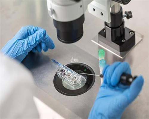 成都代孕最靠谱,成都三代试管前，需要怎么调理身体提高质量？