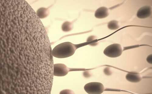 怀孕初期尿频（生男生女）