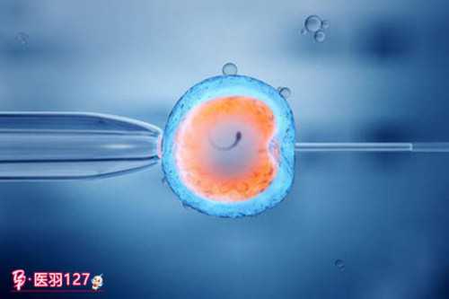 育儿师和育婴师区别_育儿心得幼儿园大班,2026最新全国十大民营生殖助孕医院排