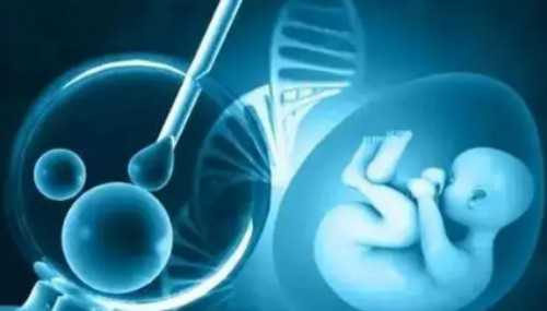 供卵试管医院费用,哈萨克斯坦做三代试管婴儿的医院比较有名的是哪些？